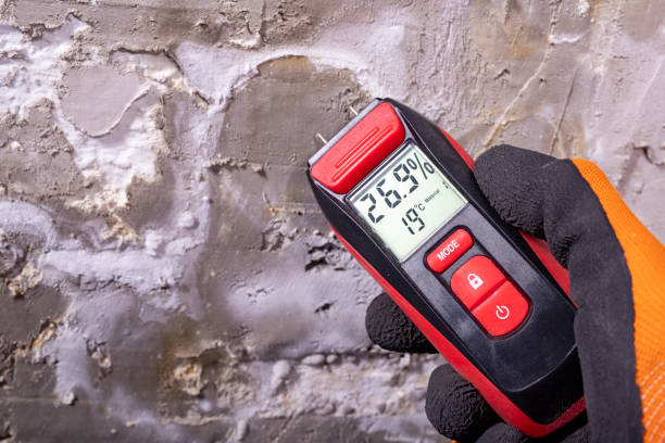 Best Certified Mold Removal  in Lake Telemark, NJ