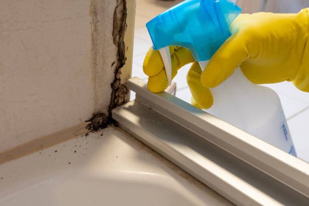 Water Damage Restoration in Lake Telemark, NJ