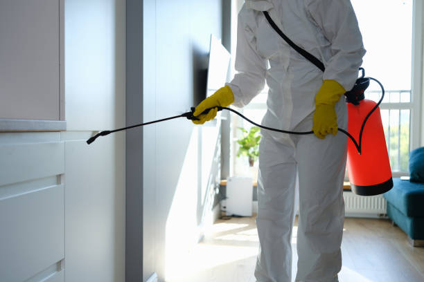 Best Local Mold Removal Service  in Lake Telemark, NJ