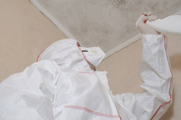 Best Black Mold Removal  in Lake Telemark, NJ
