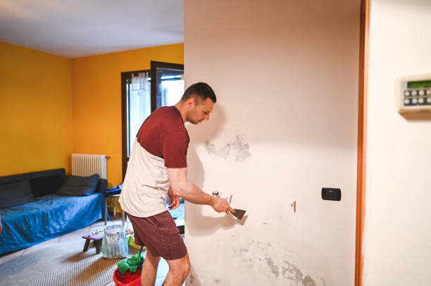 Best Home Mold Removal  in Lake Telemark, NJ