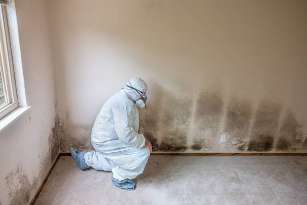 Best Office Mold Removal Services  in Lake Telemark, NJ